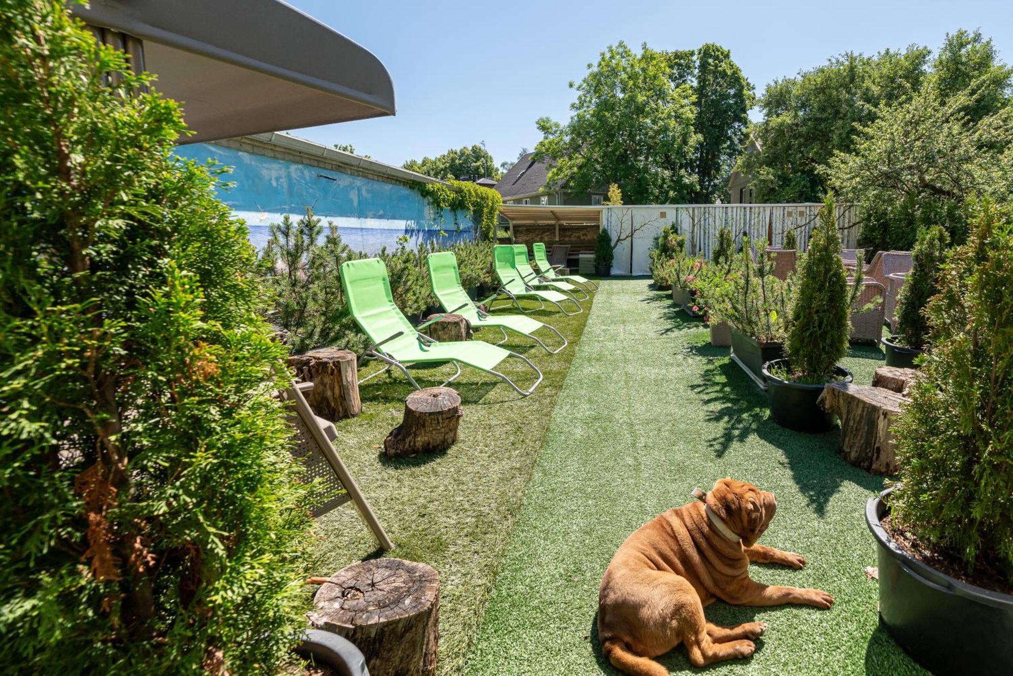 Garden Camping Talin Exterior foto