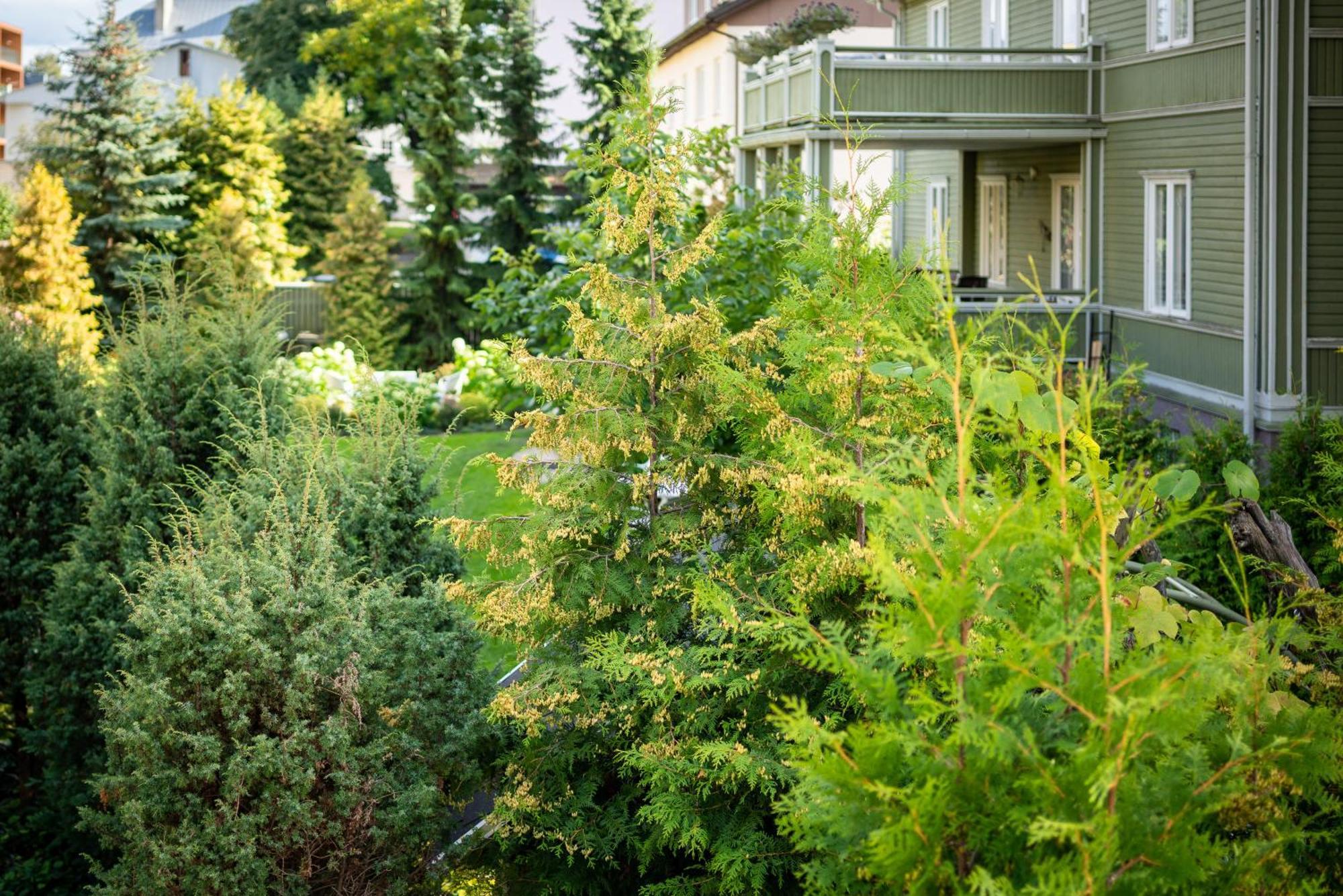 Garden Camping Talin Exterior foto